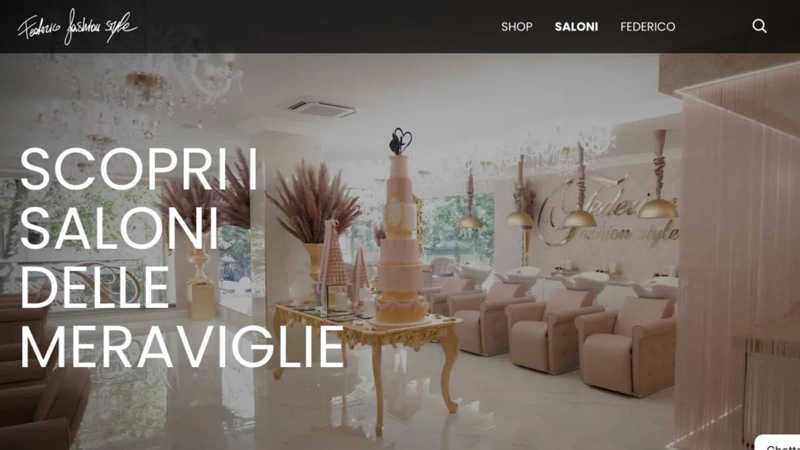 Pagina di ingresso alla rete dei saloni Federico Fashion Style
